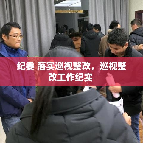 纪委 落实巡视整改，巡视整改工作纪实 