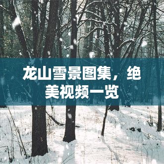 龙山雪景图集，绝美视频一览