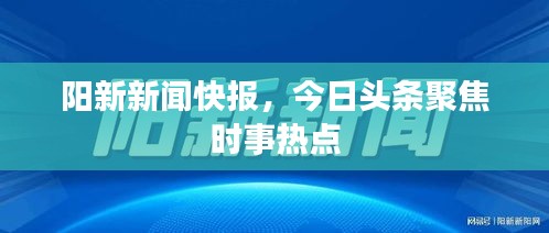 阳新新闻快报，今日头条聚焦时事热点