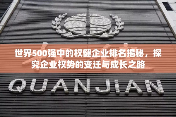 世界500强中的权健企业排名揭秘，探究企业权势的变迁与成长之路