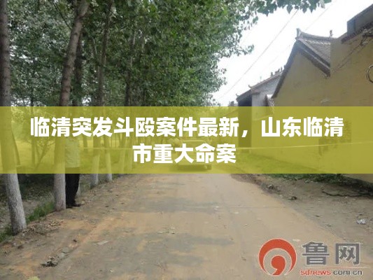 临清突发斗殴案件最新，山东临清市重大命案 