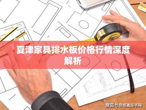 夏津家具排水板价格行情深度解析