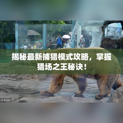 揭秘最新捕猎模式攻略，掌握猎场之王秘诀！