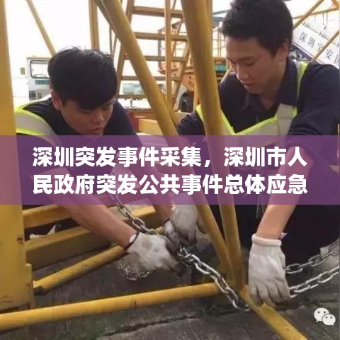 深圳突发事件采集，深圳市人民政府突发公共事件总体应急预案 