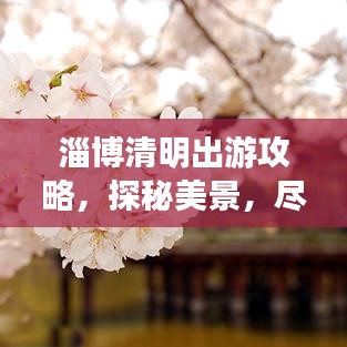 淄博清明出游攻略，探秘美景，尽享文化盛宴！