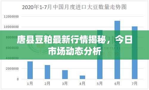 唐县豆粕最新行情揭秘，今日市场动态分析