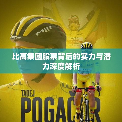 比高集团股票背后的实力与潜力深度解析