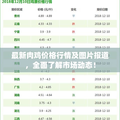 最新肉鸡价格行情及图片报道，全面了解市场动态！